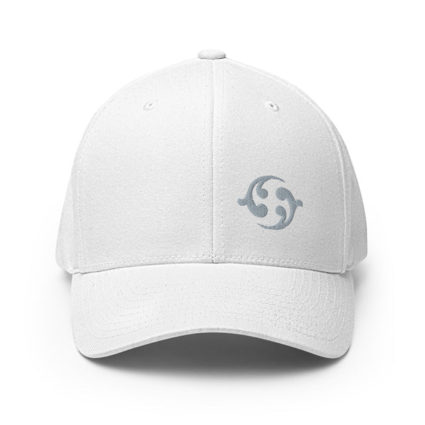 Curved Bill Hat - Flexfit®